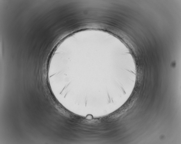 X0000116420837201001191448