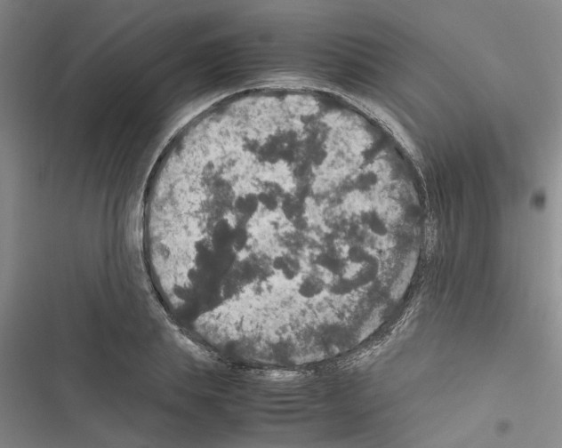 X0000116420839201001191448
