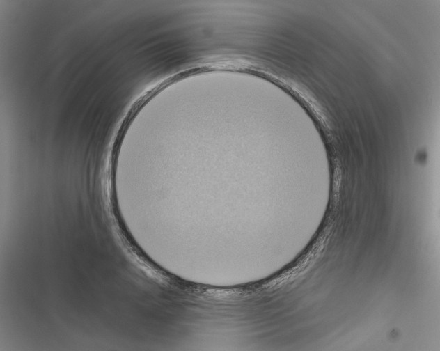 X0000116420840201001191448
