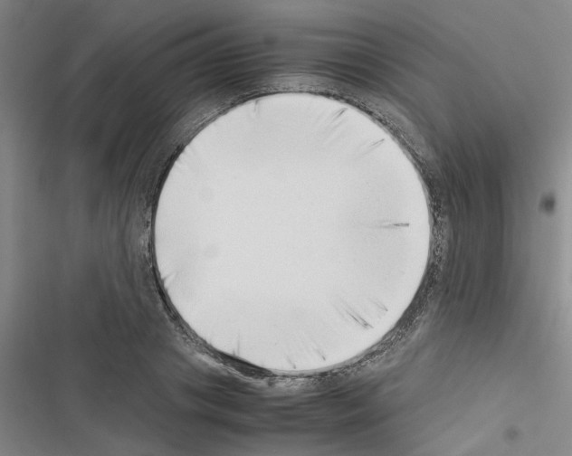 X0000116420841201001191448