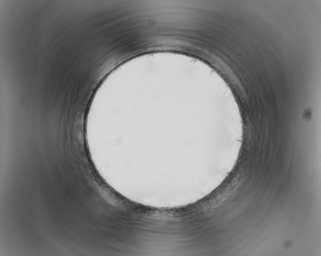 X0000116420842201001191448