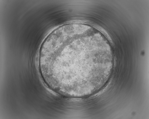 X0000116420844201001191448