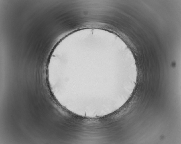 X0000116420846201001191448