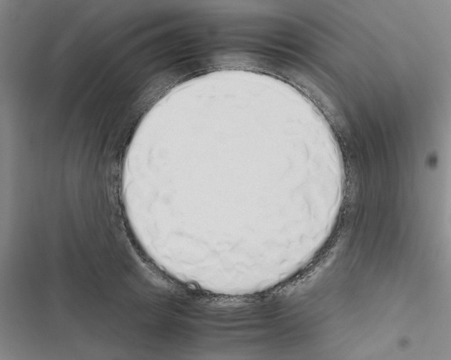 X0000116420849201001191448