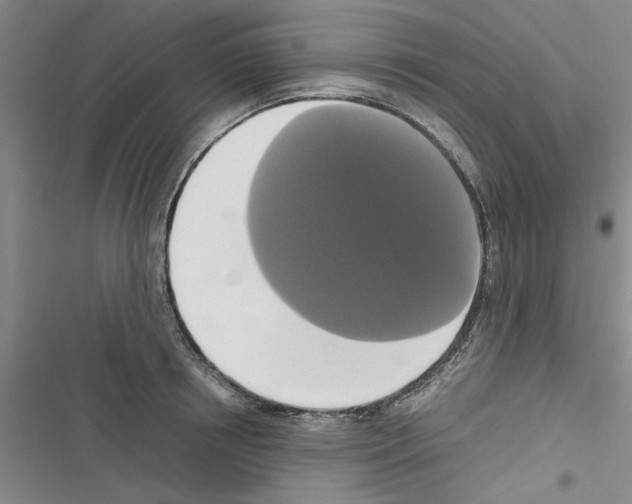 X0000116420850201001191448