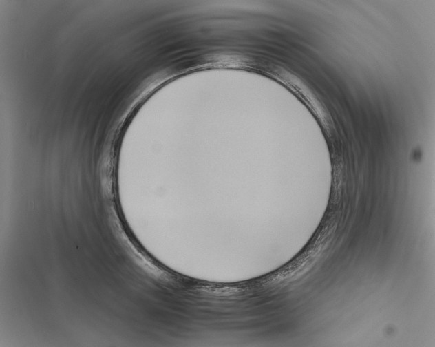 X0000116420851201001191448