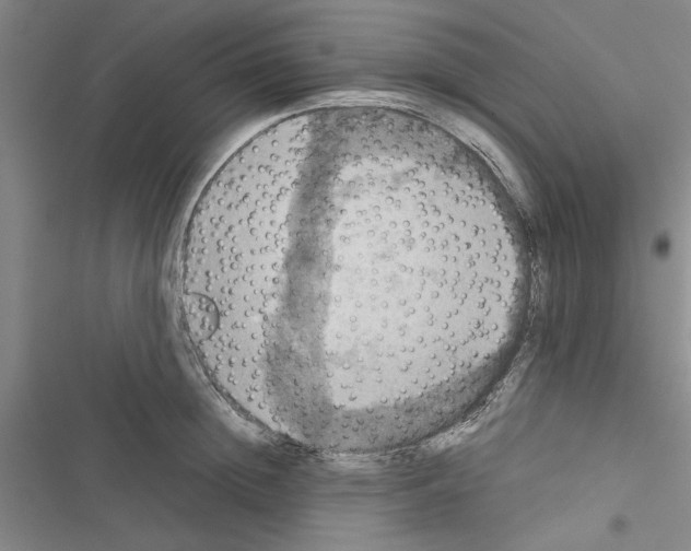 X0000116420852201001191448