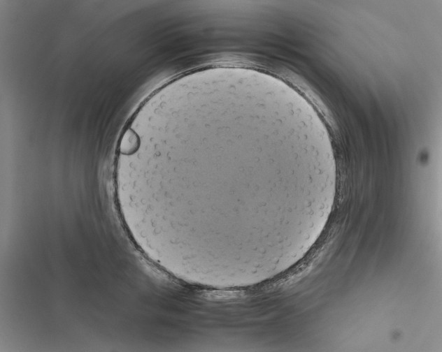 X0000116420853201001191448