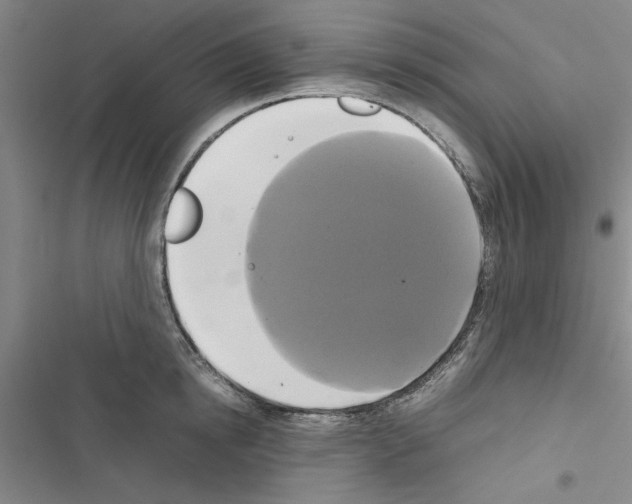 X0000116420854201001191448