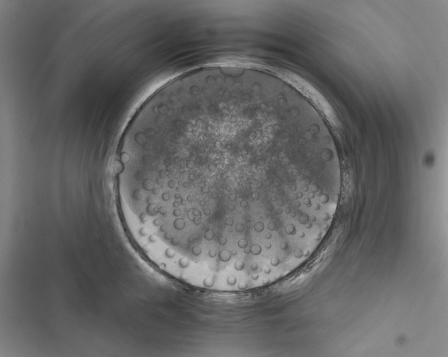 X0000116420855201001191448