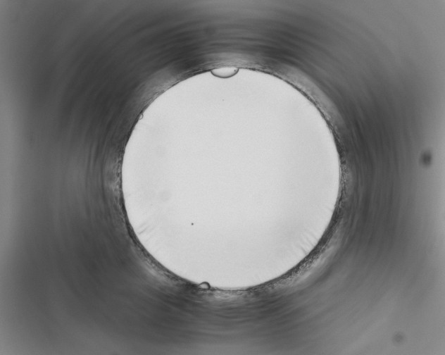 X0000116420857201001191448