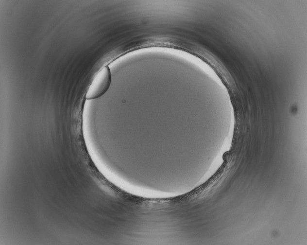 X0000116420858201001191448