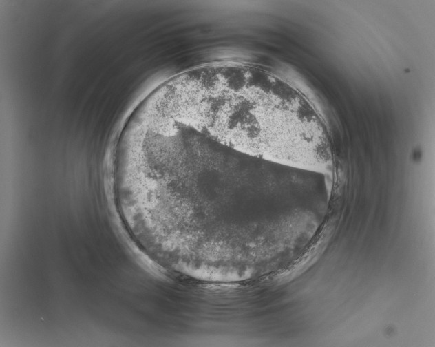 X0000116420859201001191448