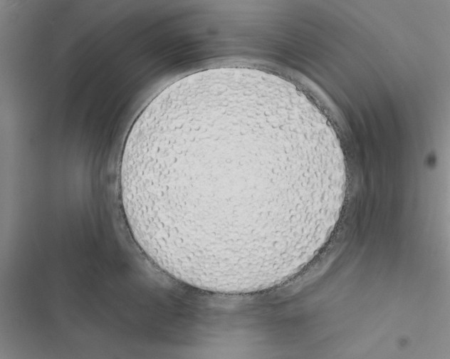 X0000116420860201001191448