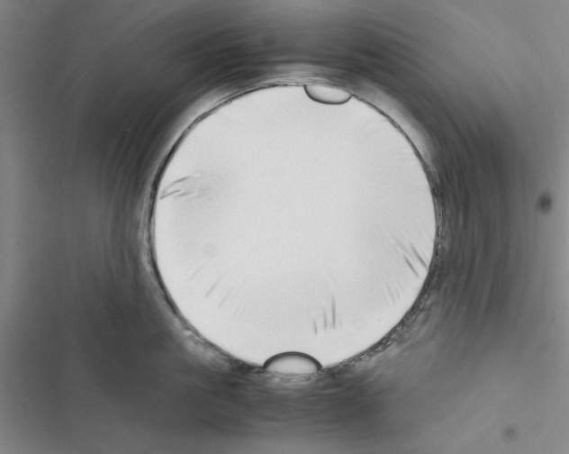 X0000116420861201001191448