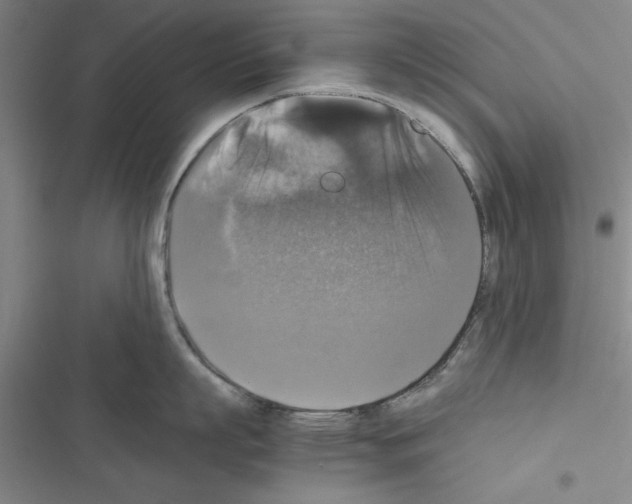 X0000116420863201001191448