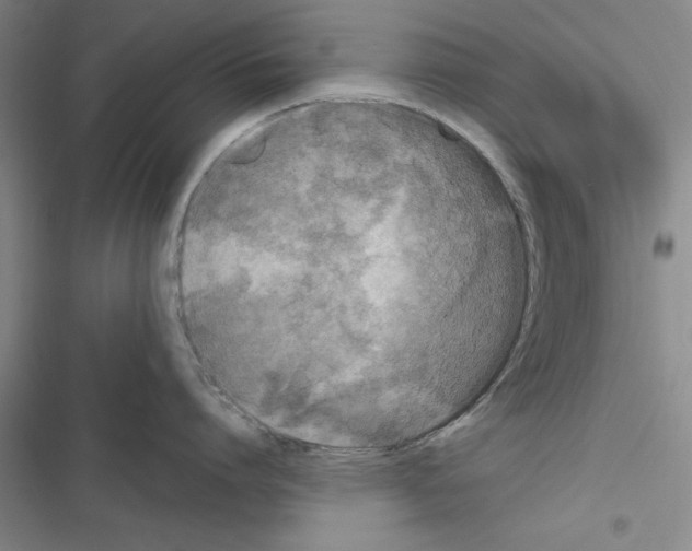 X0000116420864201001191448