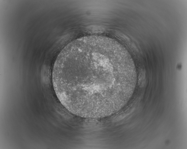 X0000116420866201001191448