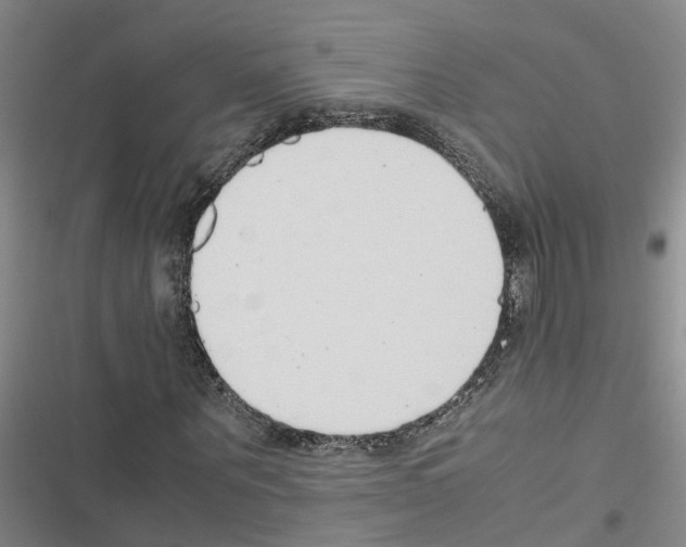 X0000116420867201001191448