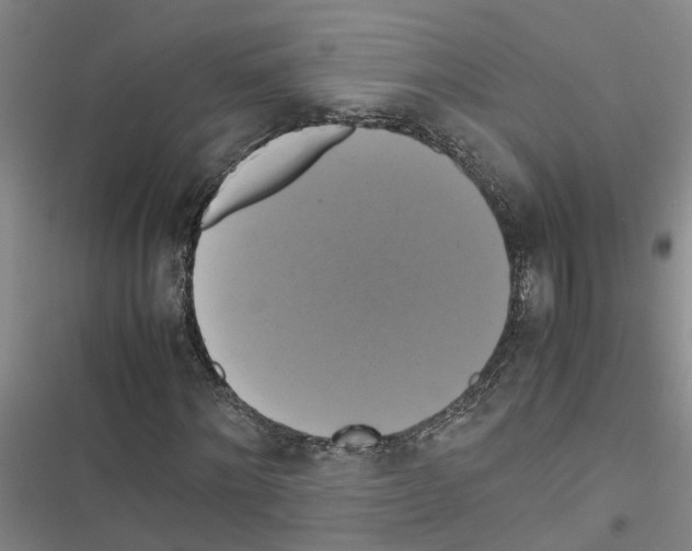 X0000116420868201001191448