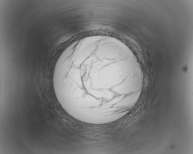 X0000116420869201001191448