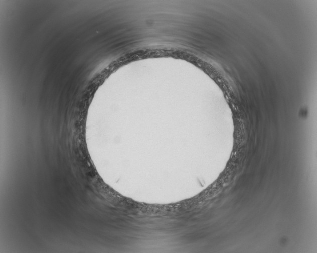 X0000116420871201001191448