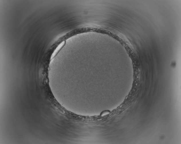 X0000116420872201001191448