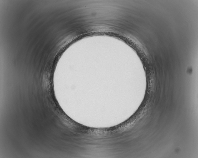 X0000116420873201001191448