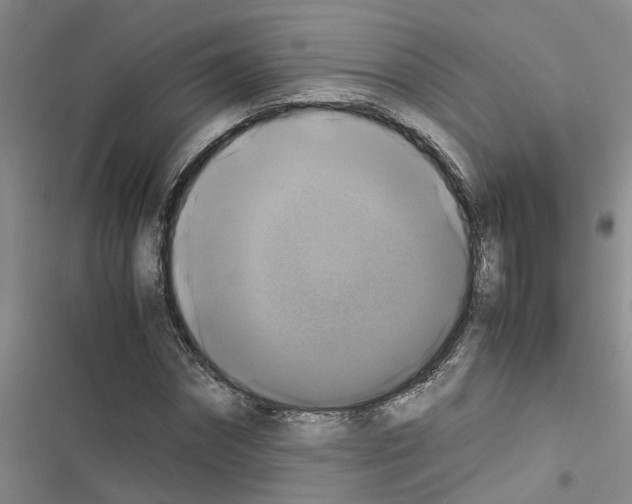 X0000116420874201001191448