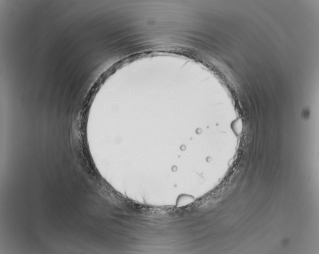 X0000116420875201001191448