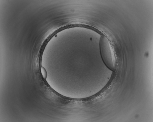 X0000116420877201001191448