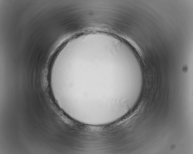 X0000116420878201001191448