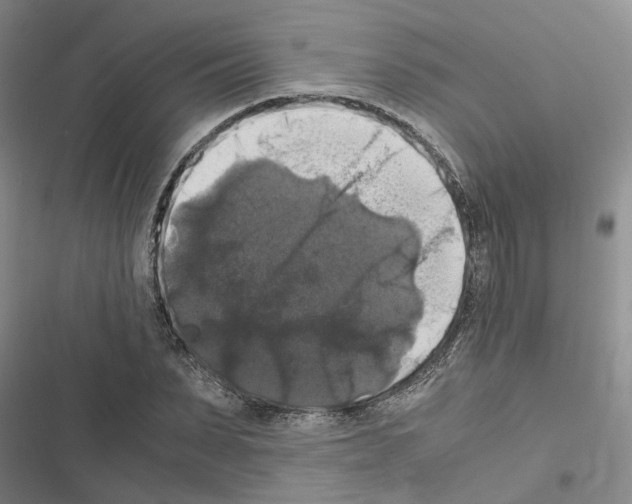 X0000116420879201001191448
