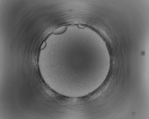 X0000116420881201001191448