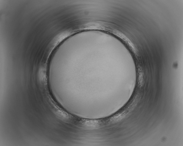 X0000116420882201001191448