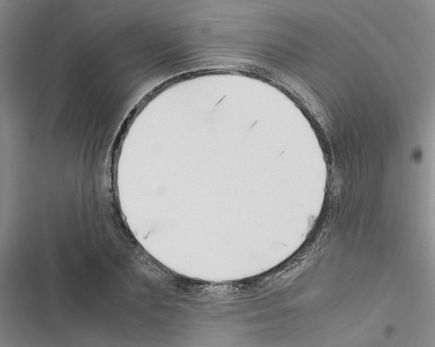 X0000116420883201001191448