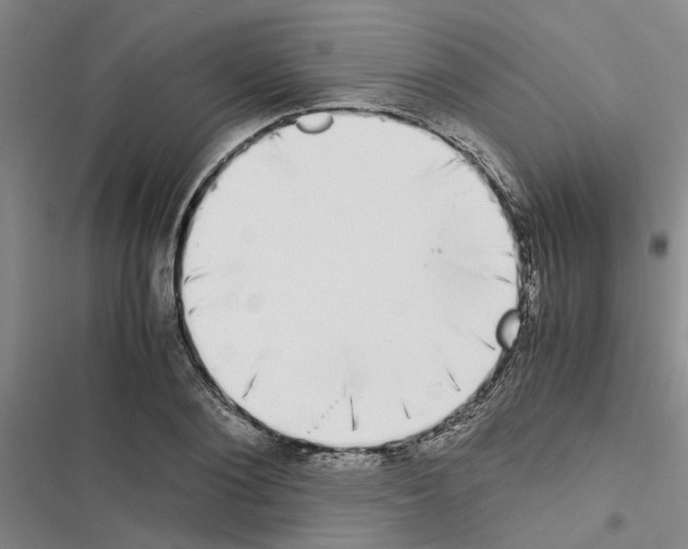 X0000116420884201001191448