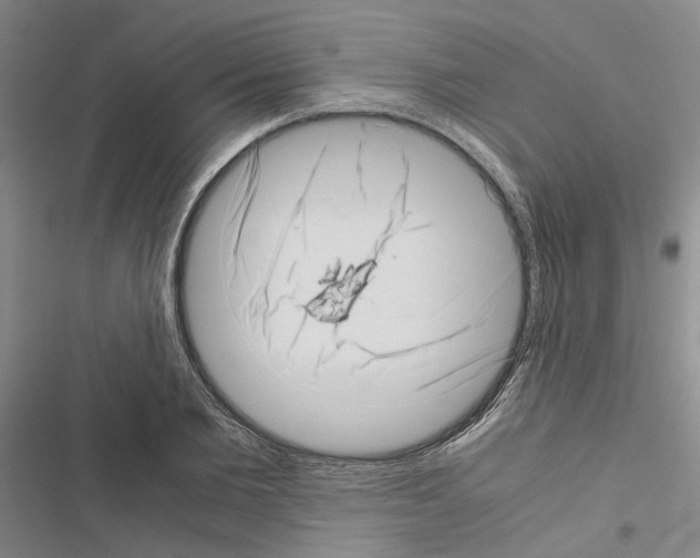 X0000116420885201001191447