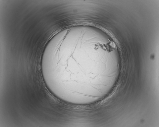 X0000116420889201001191447