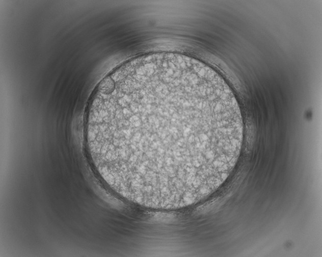 X0000116420890201001191447