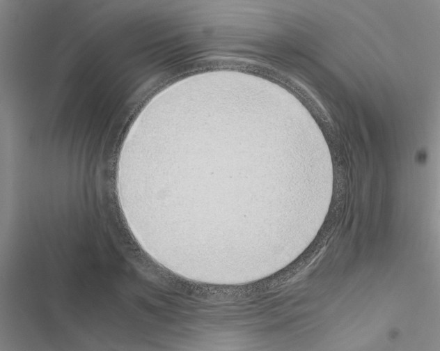 X0000116420891201001191447