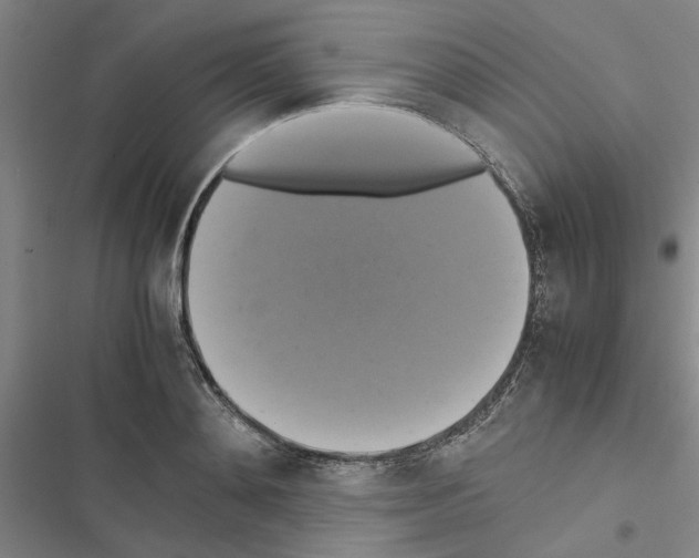 X0000116420892201001191447