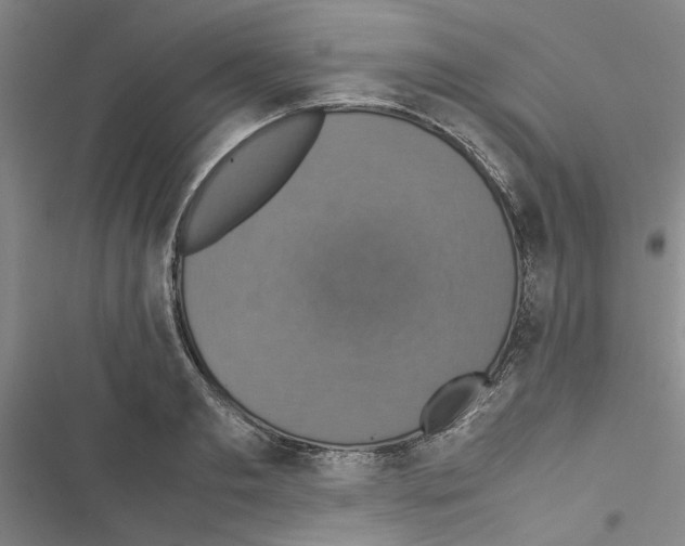 X0000116420893201001191447