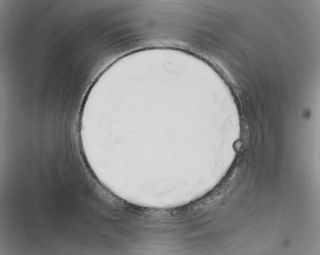 X0000116420895201001191447