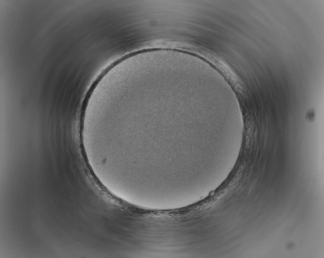 X0000116420896201001191447