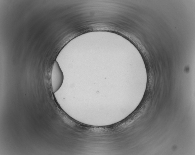 X0000116420897201001191447
