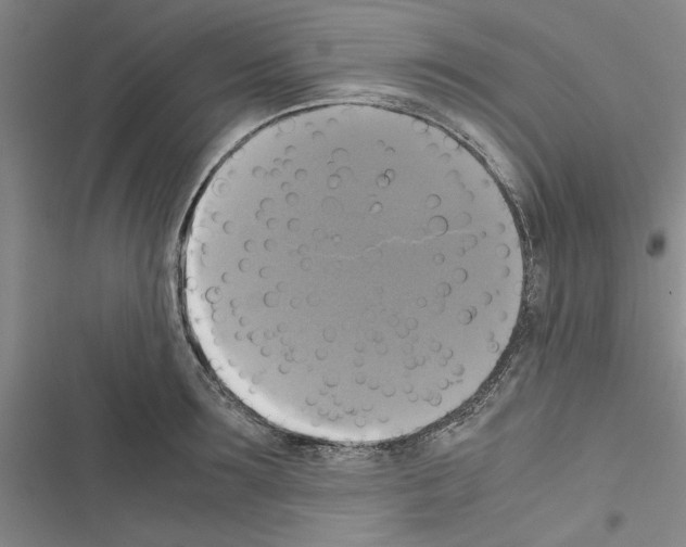 X0000116420899201001191447