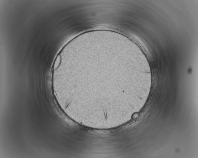 X0000116420900201001191447
