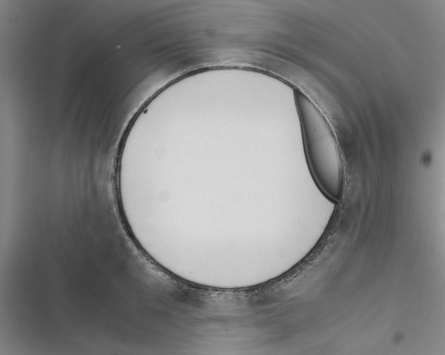 X0000116420901201001191447