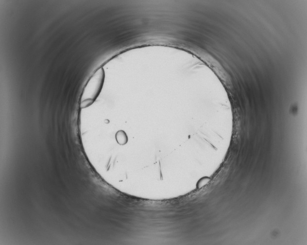 X0000116420904201001191447